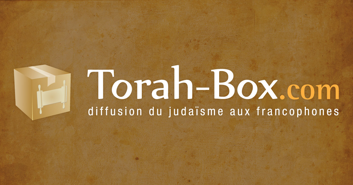 http://www.torah-box.com/img/og.jpg
