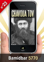Bamidbar 5770