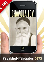 Vayakhel-Pekoudei 5773