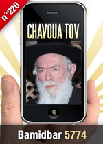 Bamidbar 5774