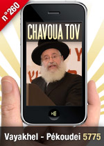 Vayakhel - Pekoudei 5775