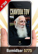 Bamidbar 5775