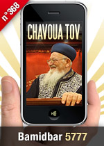 Bamidbar 5777