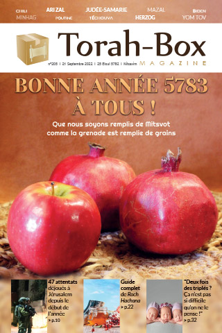 Torah-Box Magazine n°205 - France - Nitsavim