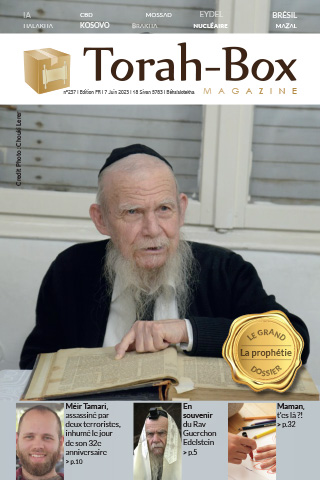 Torah-Box Magazine n°237 - Israël - Chéla'h Lekha