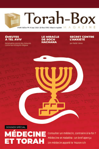 Torah-Box Magazine n°246 - Israël - Nitsavim - Vayélekh
