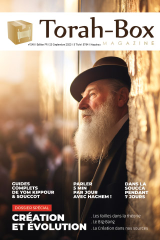 Torah-Box Magazine n°248 - Israël - Haazinou