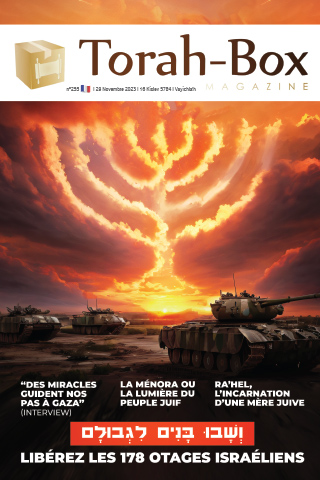 Torah-Box Magazine n°255 - France - Vayichla'h