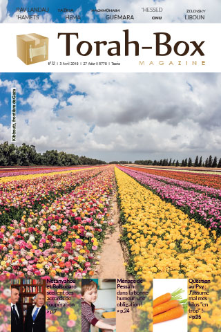 Torah-Box Magazine n°72 - Israël - Tazria