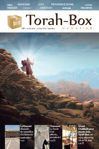 Torah-Box Magazine n°80 - France - Bamidbar