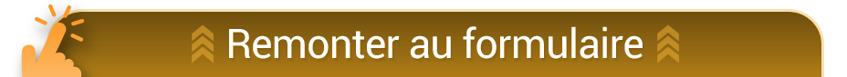 Remonter au formulaire
